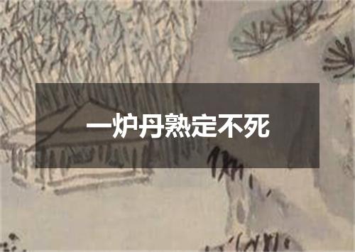 一炉丹熟定不死