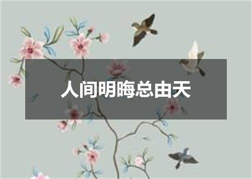 人间明晦总由天