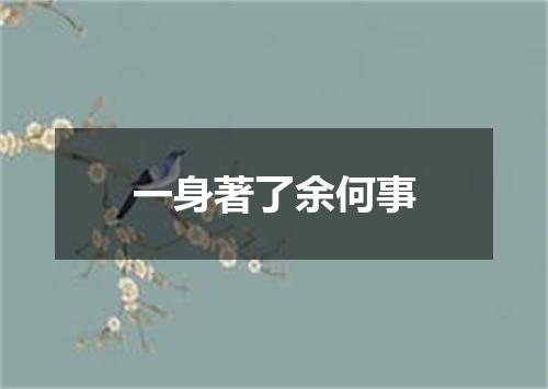 一身著了余何事