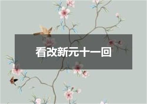 看改新元十一回