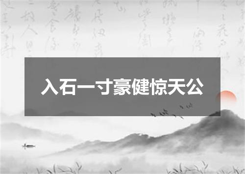 入石一寸豪健惊天公
