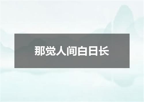 那觉人间白日长