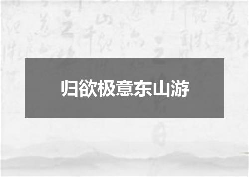 归欲极意东山游