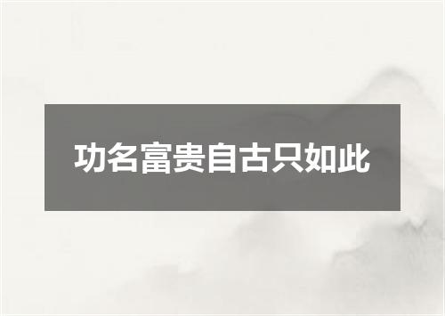 功名富贵自古只如此
