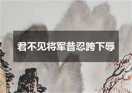 君不见将军昔忍跨下辱