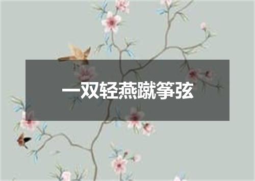 一双轻燕蹴筝弦
