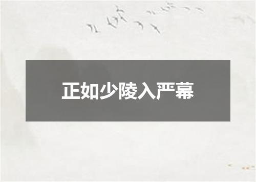正如少陵入严幕
