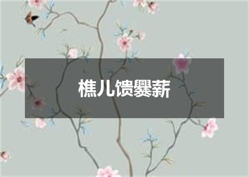 樵儿馈爨薪