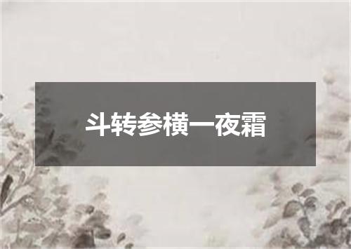 斗转参横一夜霜