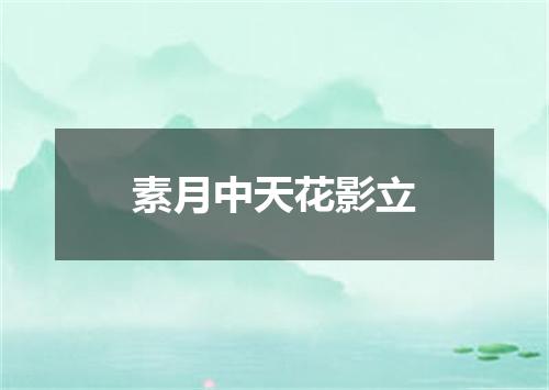 素月中天花影立