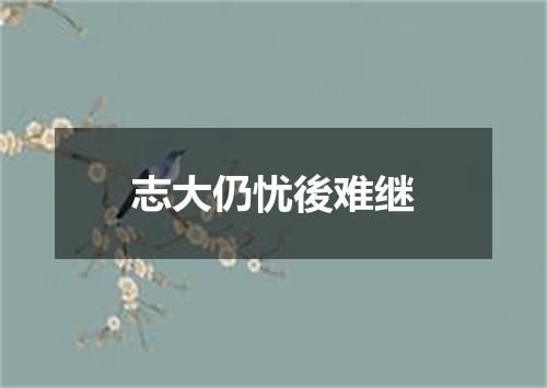 志大仍忧後难继
