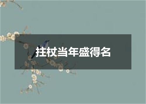 拄杖当年盛得名