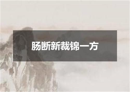 肠断新裁锦一方