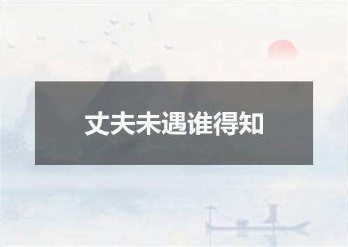 丈夫未遇谁得知