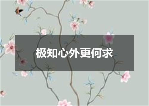 极知心外更何求