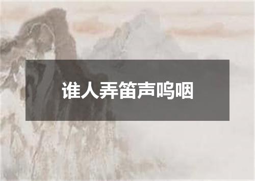 谁人弄笛声呜咽