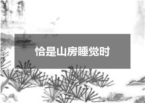 恰是山房睡觉时