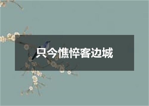 只今憔悴客边城