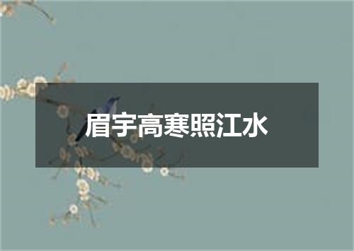 眉宇高寒照江水