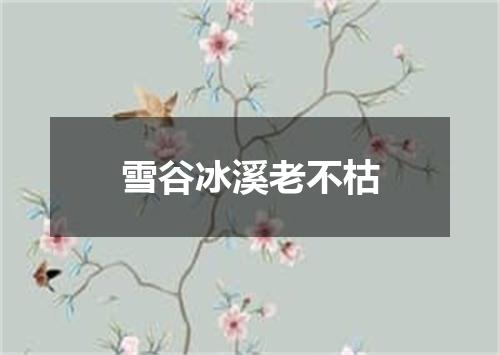 雪谷冰溪老不枯