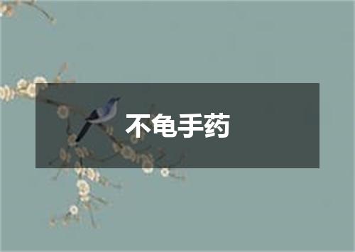 不龟手药