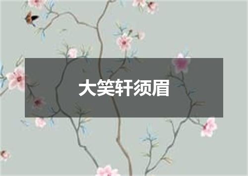 大笑轩须眉
