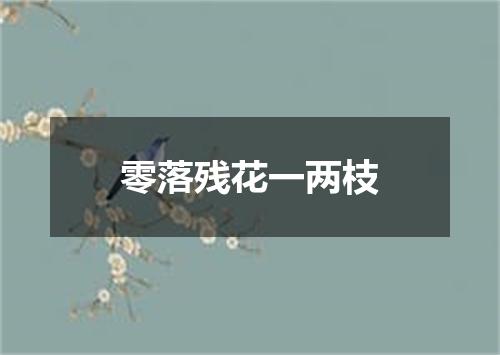 零落残花一两枝