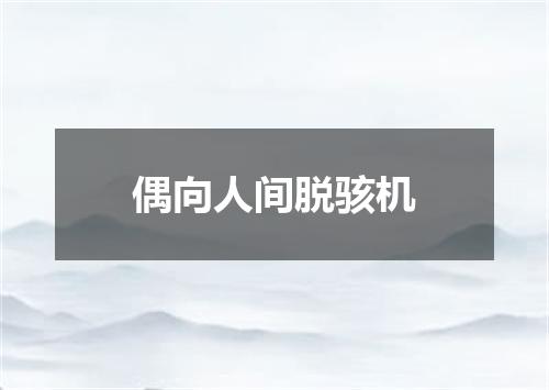 偶向人间脱骇机