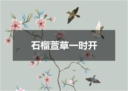 石榴萱草一时开