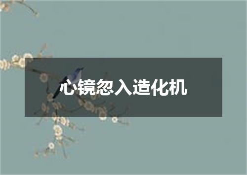 心镜忽入造化机