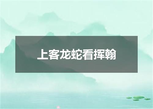 上客龙蛇看挥翰
