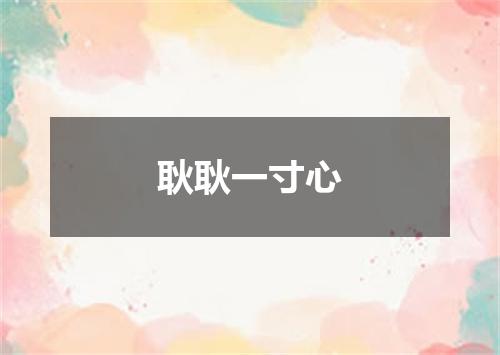 耿耿一寸心