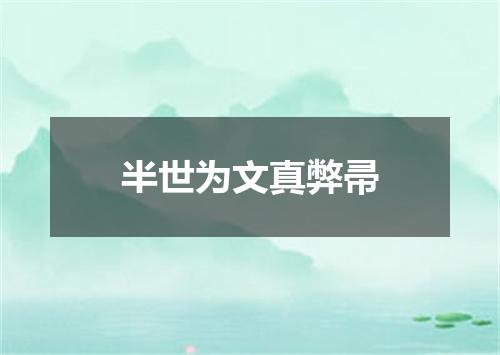 半世为文真弊帚