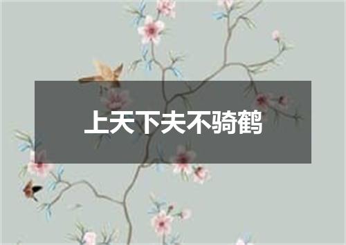 上天下夫不骑鹤