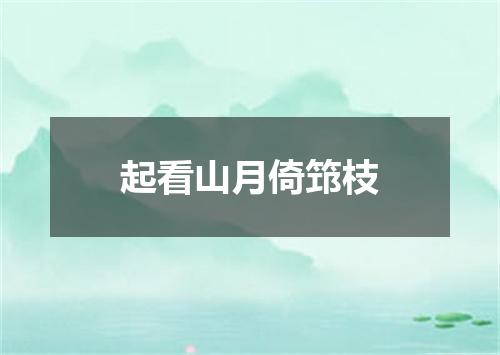 起看山月倚筇枝