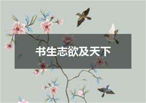 书生志欲及天下