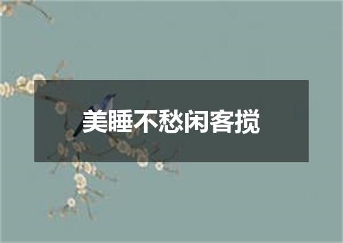 美睡不愁闲客搅
