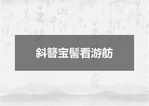 斜簪宝髻看游舫