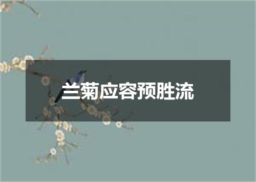 兰菊应容预胜流