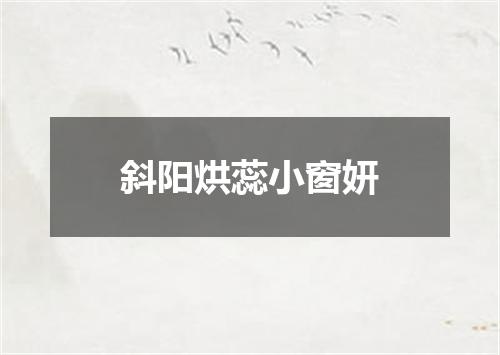 斜阳烘蕊小窗妍