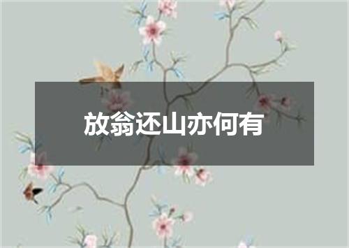 放翁还山亦何有