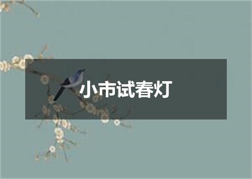 小市试春灯