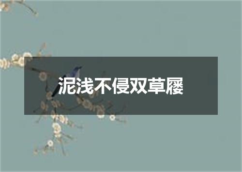 泥浅不侵双草屦
