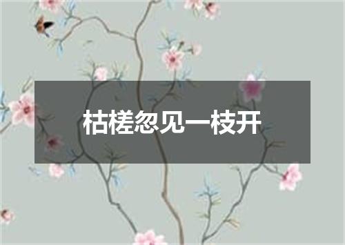 枯槎忽见一枝开