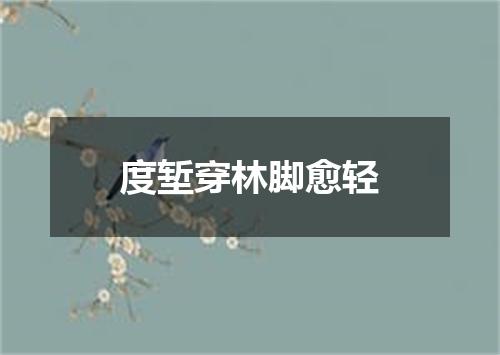 度堑穿林脚愈轻