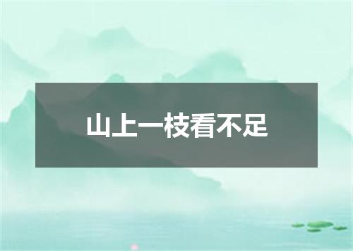 山上一枝看不足