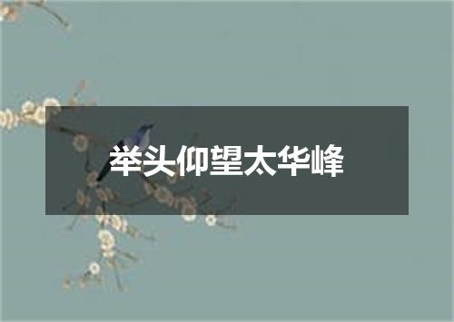 举头仰望太华峰