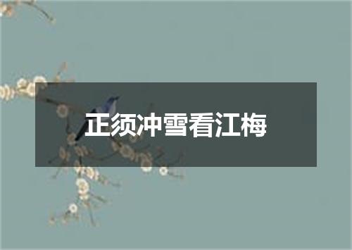 正须冲雪看江梅
