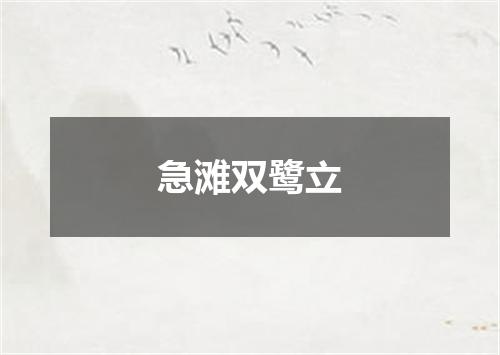 急滩双鹭立