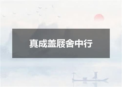 真成盖屐舍中行